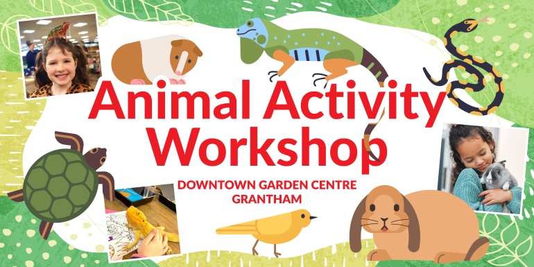 Animal Activity Workshop at Downtown Garden Centre, Grantham